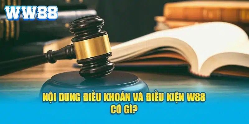 Vai trò của điều khoản điều kiện WW88 quan trọng