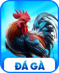 icon đá gà WW88